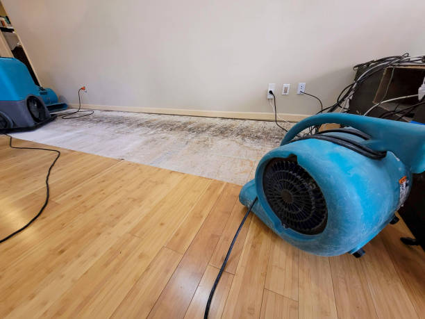 Professional Basement Flood Cleanup technician working in Orient, WA